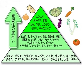 デザイナーズフーズ