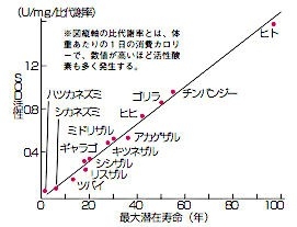 グラフ