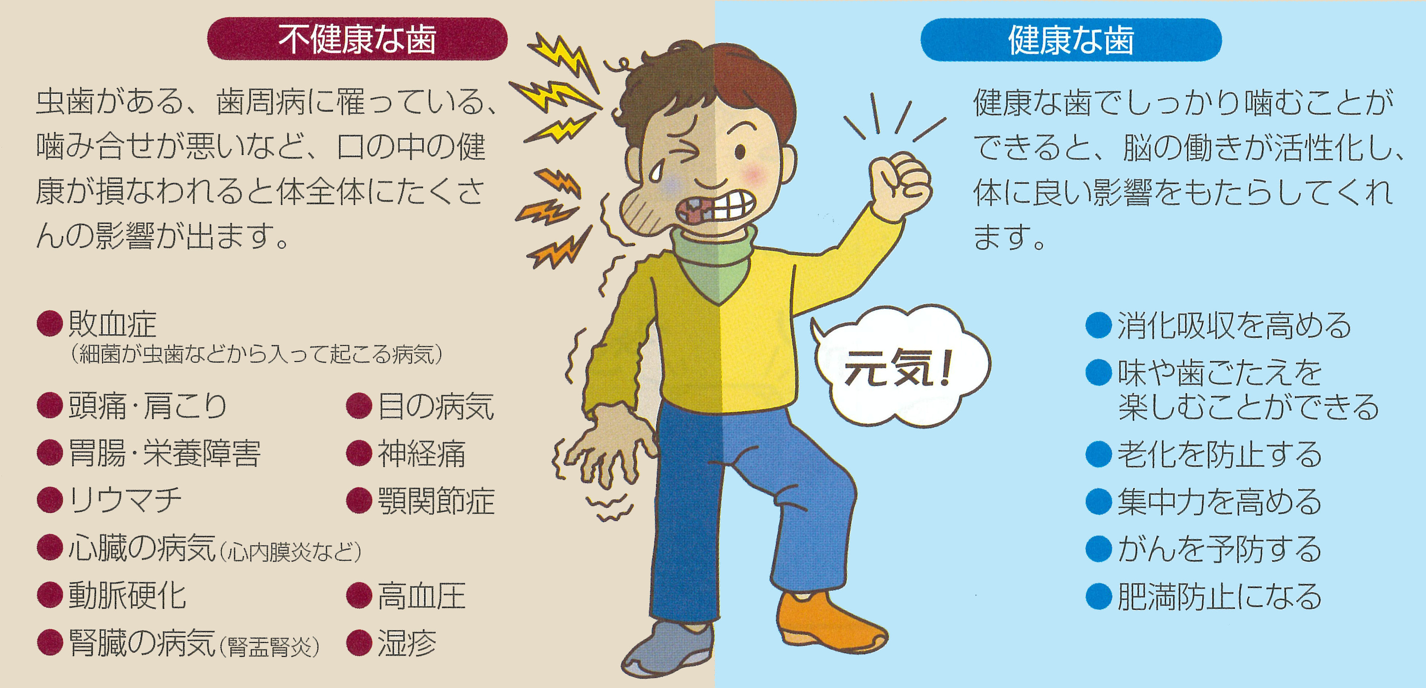 歯の健康