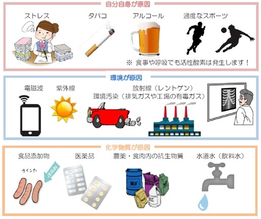 活性酸素