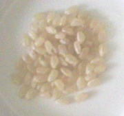 乾燥している玄米